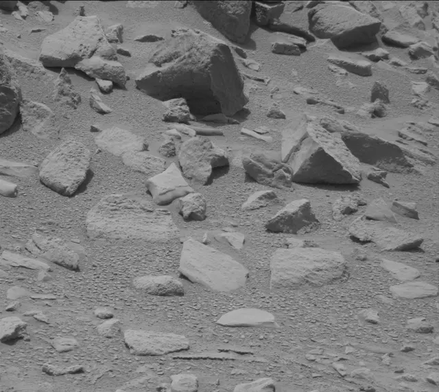 Sol 319: Mast Camera (Mastcam)