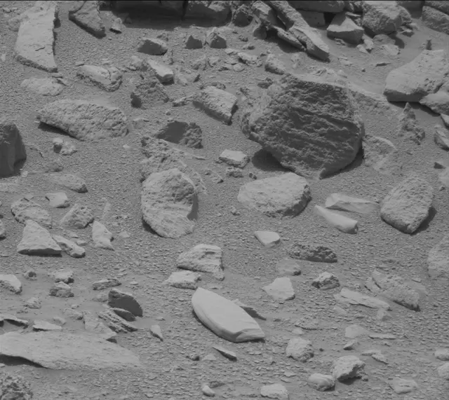 Sol 319: Mast Camera (Mastcam)