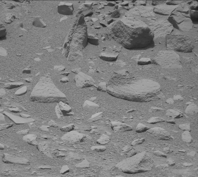 Sol 319: Mast Camera (Mastcam)