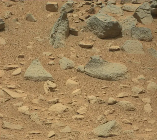 Sol 319: Mast Camera (Mastcam)
