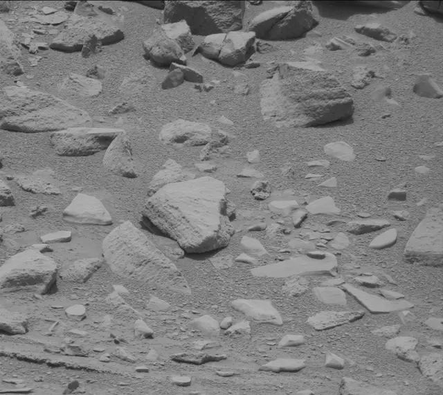 Sol 319: Mast Camera (Mastcam)