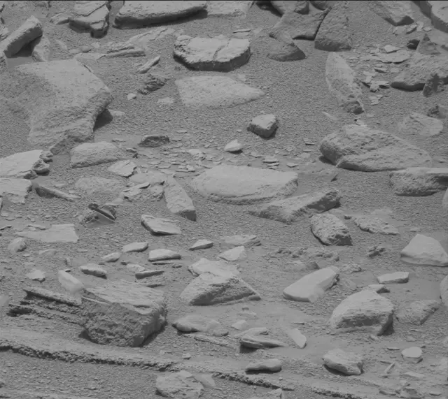 Sol 319: Mast Camera (Mastcam)