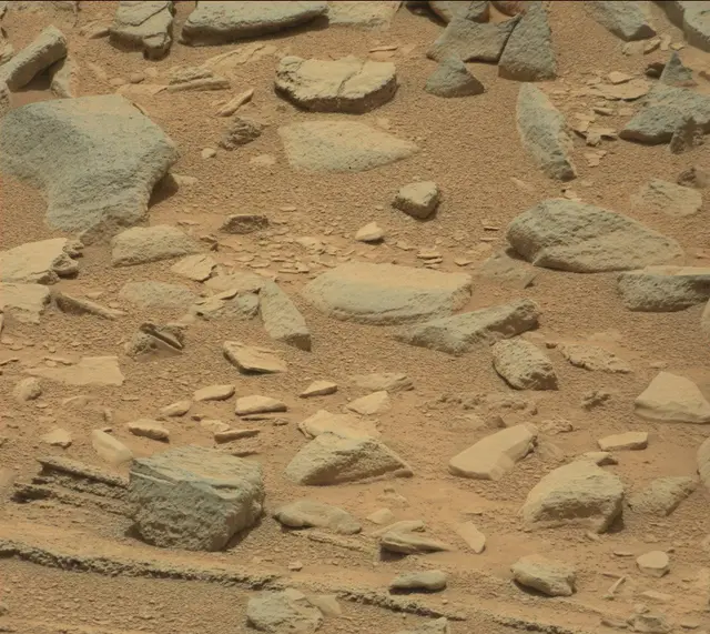 Sol 319: Mast Camera (Mastcam)