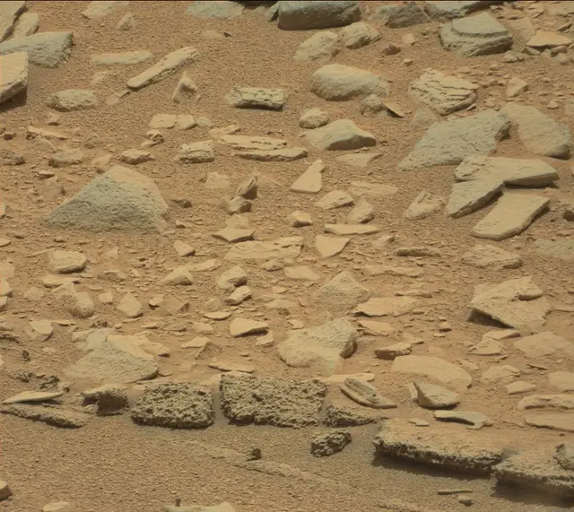 Sol 319: Mast Camera (Mastcam)