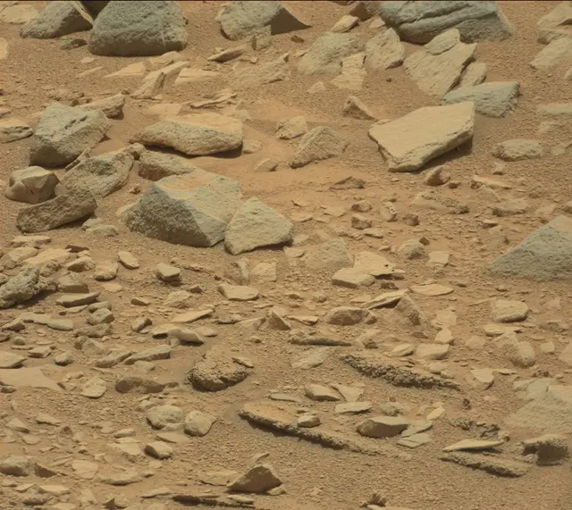 Sol 319: Mast Camera (Mastcam)