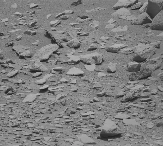 Sol 319: Mast Camera (Mastcam)