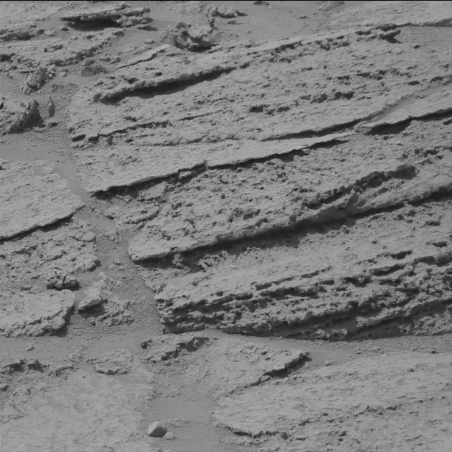 Sol 319: Mast Camera (Mastcam)