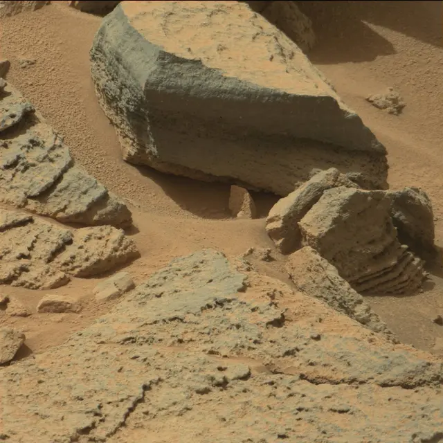 Sol 319: Mast Camera (Mastcam)