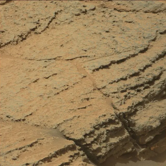 Sol 319: Mast Camera (Mastcam)