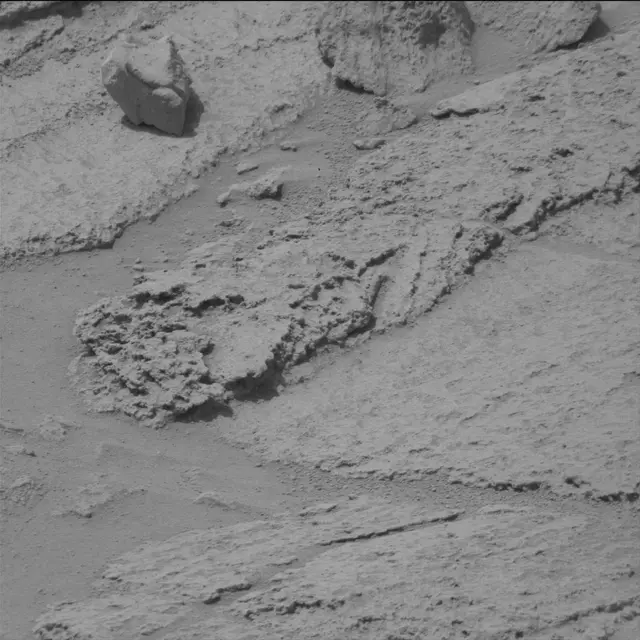 Sol 319: Mast Camera (Mastcam)