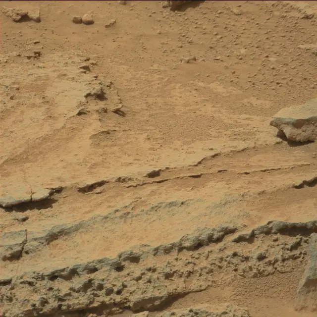 Sol 319: Mast Camera (Mastcam)
