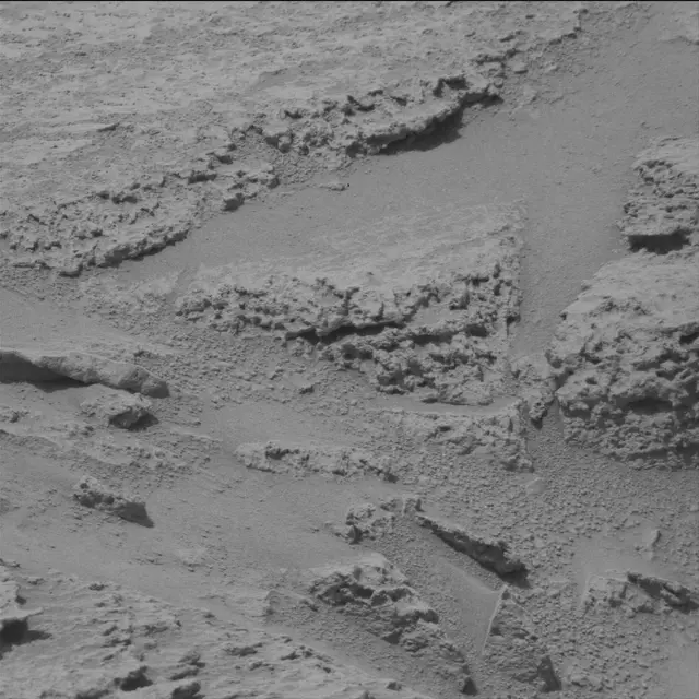 Sol 319: Mast Camera (Mastcam)