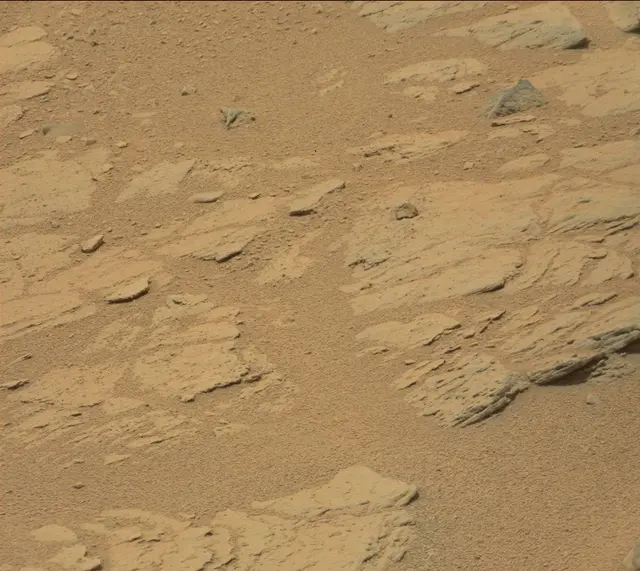 Sol 319: Mast Camera (Mastcam)