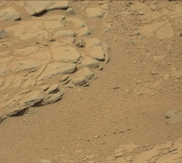 Sol 319: Mast Camera (Mastcam)