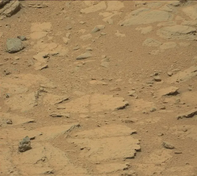 Sol 319: Mast Camera (Mastcam)