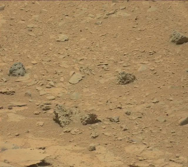 Sol 319: Mast Camera (Mastcam)