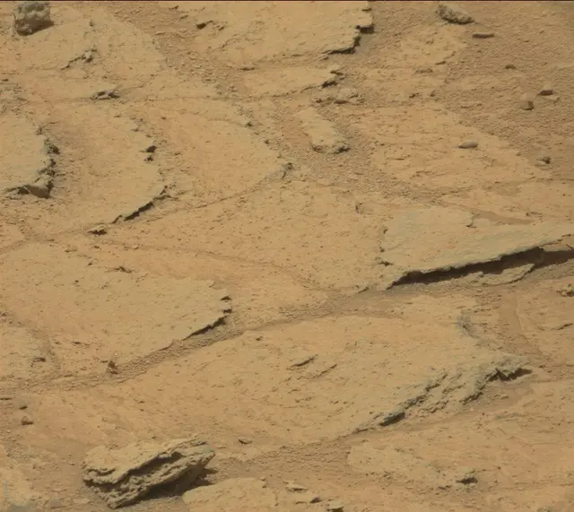 Sol 319: Mast Camera (Mastcam)