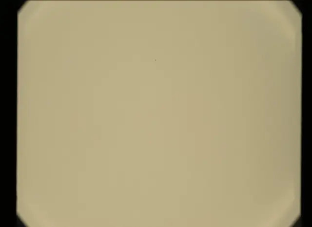 Sol 320: Mast Camera (Mastcam)