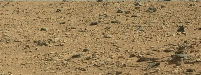 Sol 323: Mast Camera (Mastcam)