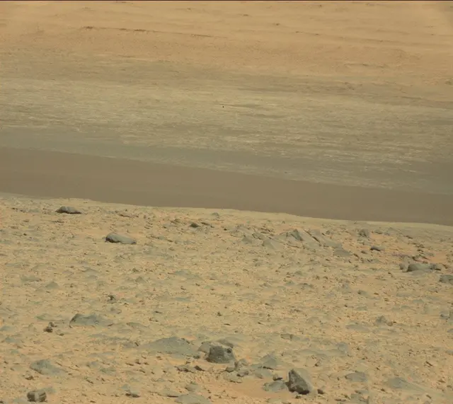 Sol 323: Mast Camera (Mastcam)