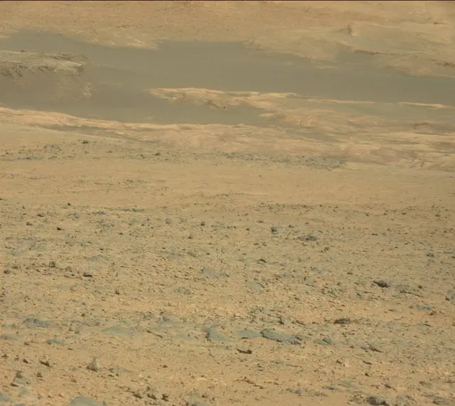 Sol 323: Mast Camera (Mastcam)