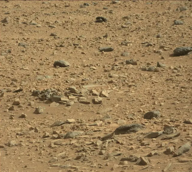 Sol 323: Mast Camera (Mastcam)