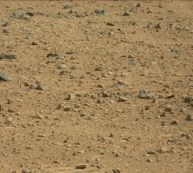 Sol 323: Mast Camera (Mastcam)
