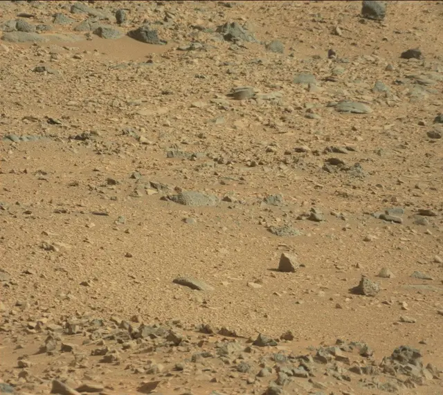 Sol 323: Mast Camera (Mastcam)