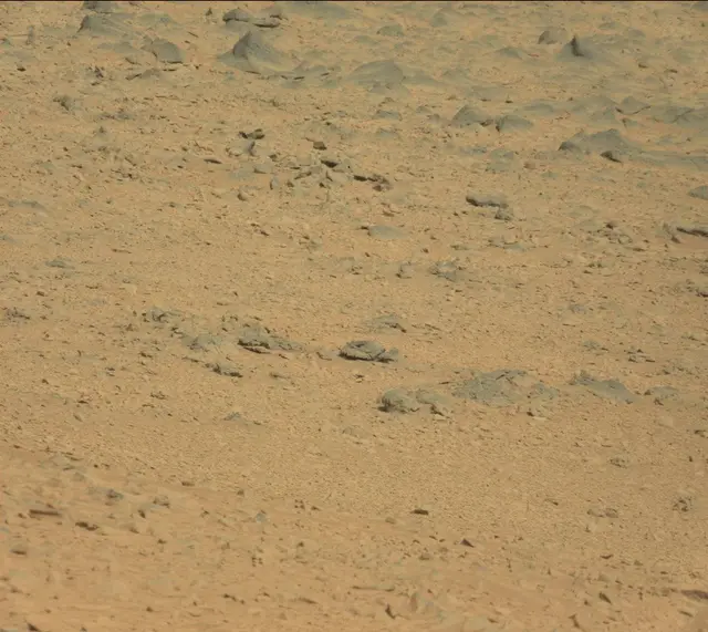 Sol 323: Mast Camera (Mastcam)