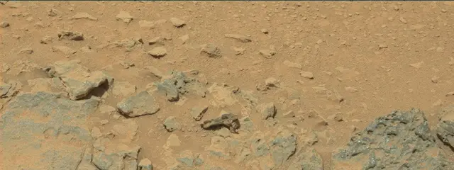 Sol 324: Mast Camera (Mastcam)