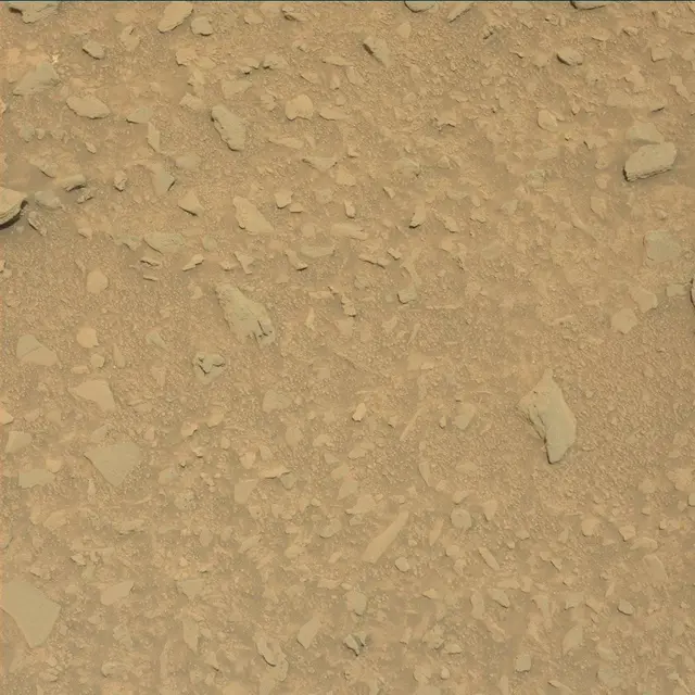 Sol 325: Mast Camera (Mastcam)