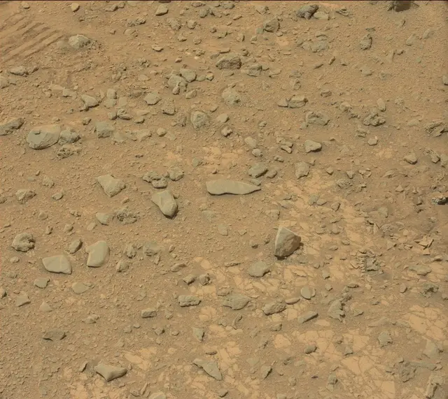 Sol 325: Mast Camera (Mastcam)
