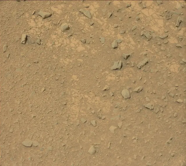 Sol 325: Mast Camera (Mastcam)