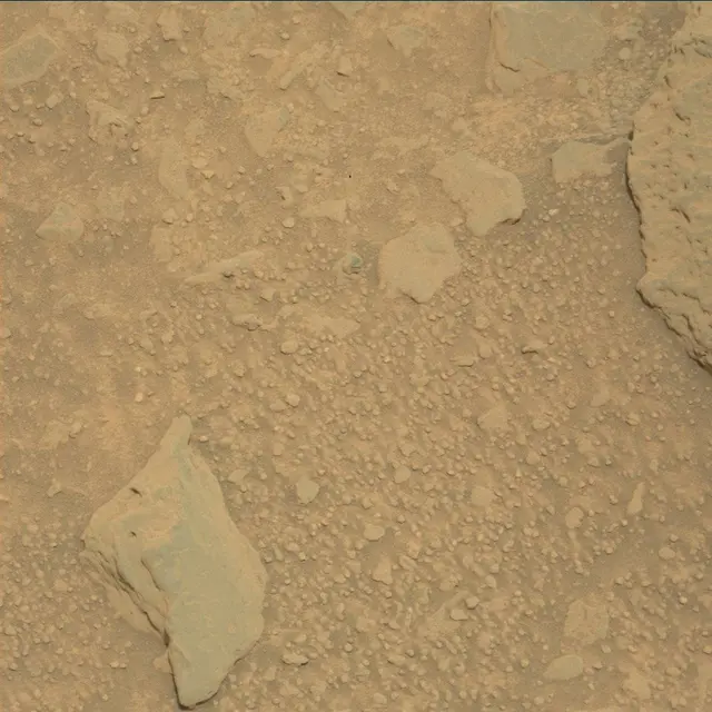Sol 325: Mast Camera (Mastcam)