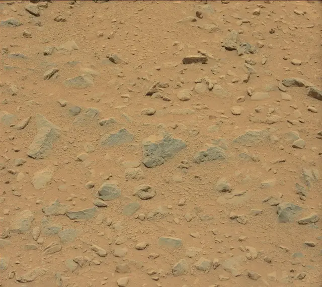 Sol 332: Mast Camera (Mastcam)