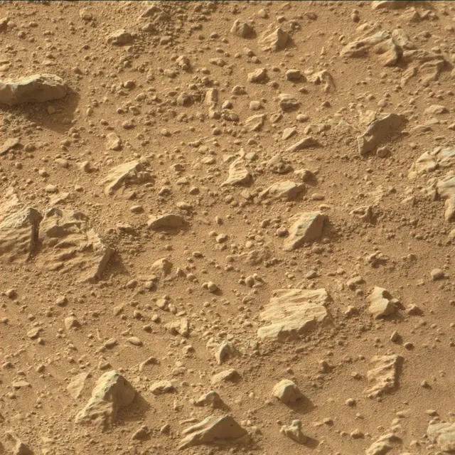 Sol 333: Mast Camera (Mastcam)