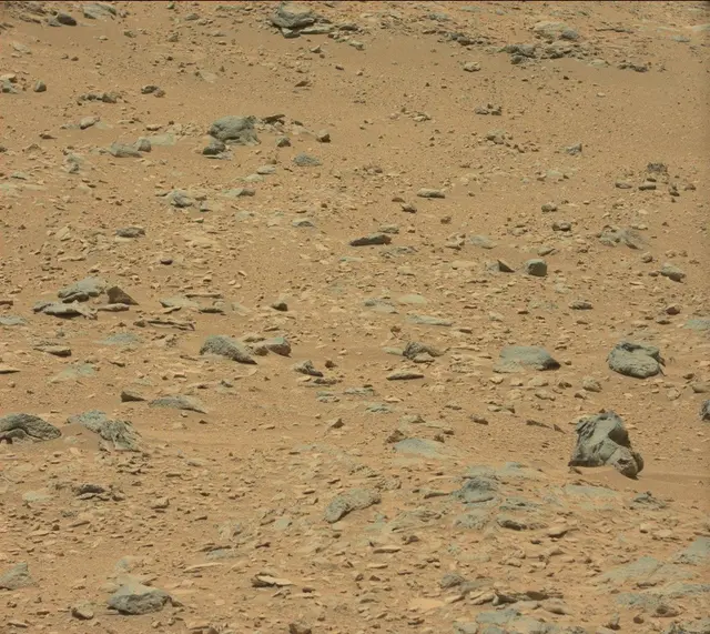 Sol 336: Mast Camera (Mastcam)