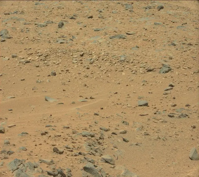 Sol 336: Mast Camera (Mastcam)
