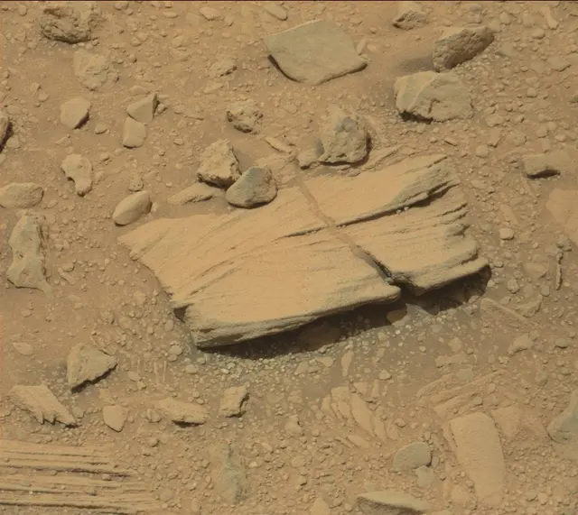 Sol 336: Mast Camera (Mastcam)