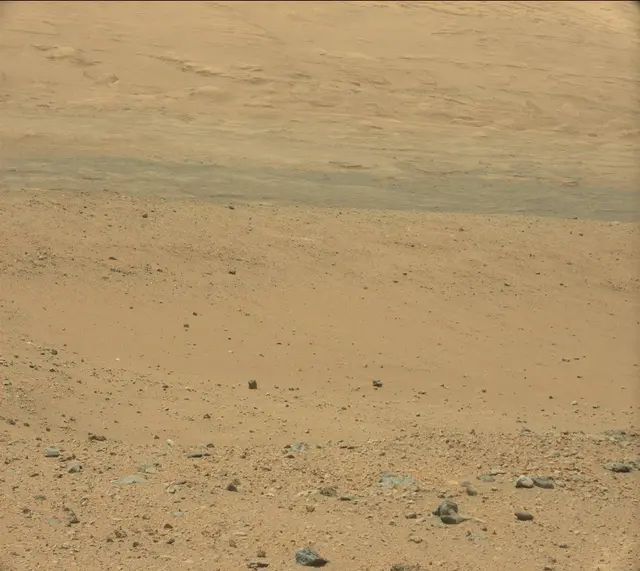 Sol 338: Mast Camera (Mastcam)