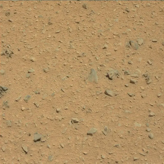 Sol 338: Mast Camera (Mastcam)