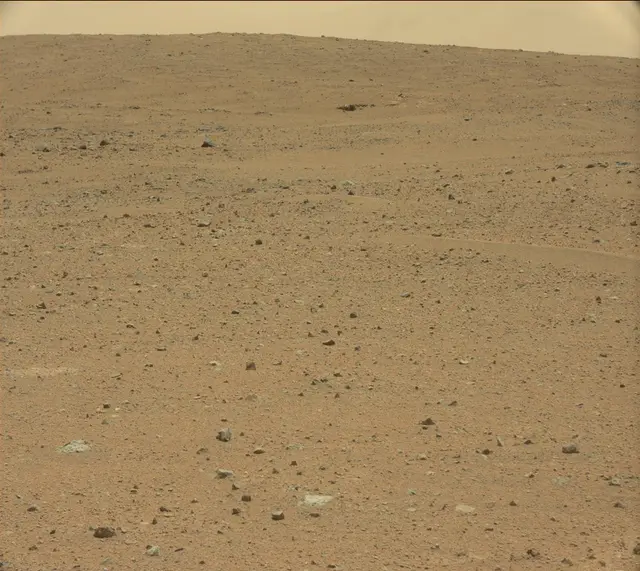 Sol 338: Mast Camera (Mastcam)