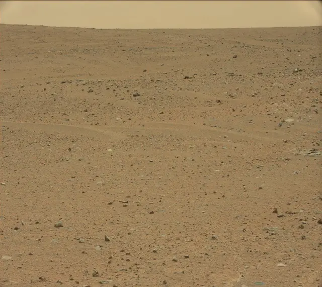 Sol 338: Mast Camera (Mastcam)