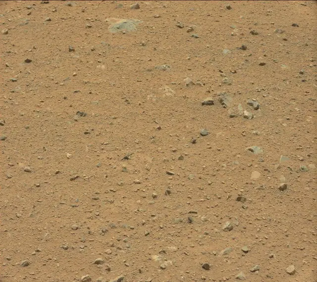 Sol 338: Mast Camera (Mastcam)