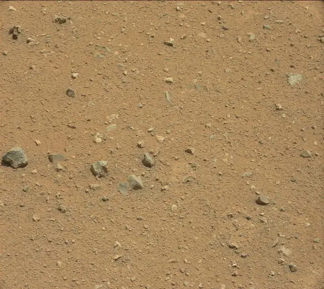Sol 338: Mast Camera (Mastcam)