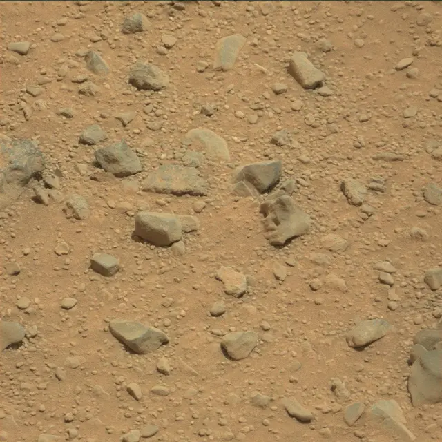 Sol 338: Mast Camera (Mastcam)
