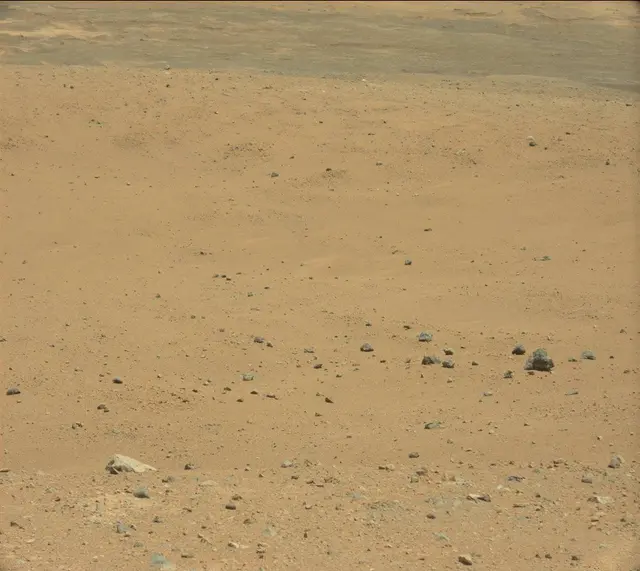 Sol 339: Mast Camera (Mastcam)