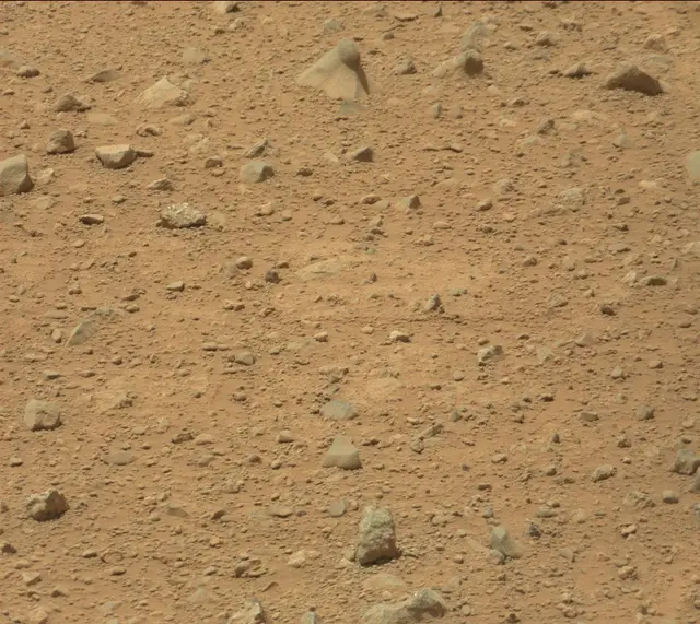 Sol 339: Mast Camera (Mastcam)