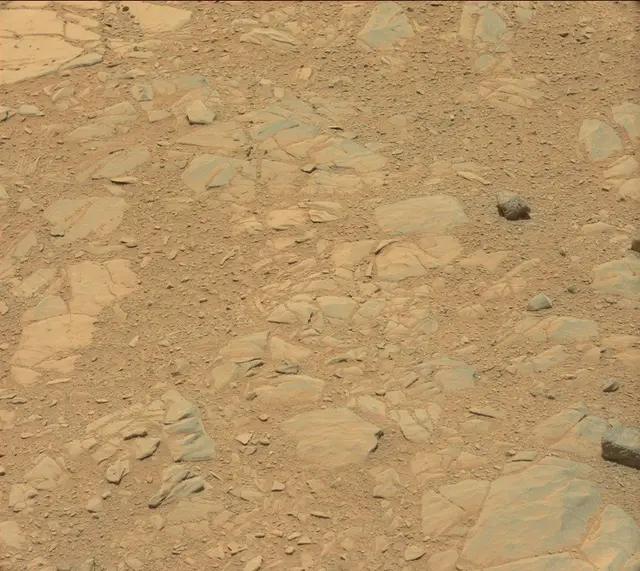 Sol 342: Mast Camera (Mastcam)