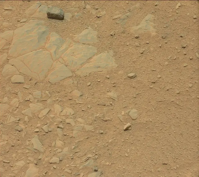 Sol 342: Mast Camera (Mastcam)